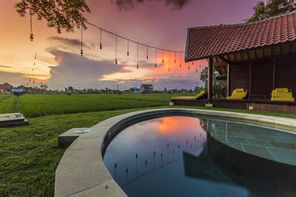 Big Brother Surf Inn Canggu Eksteriør billede