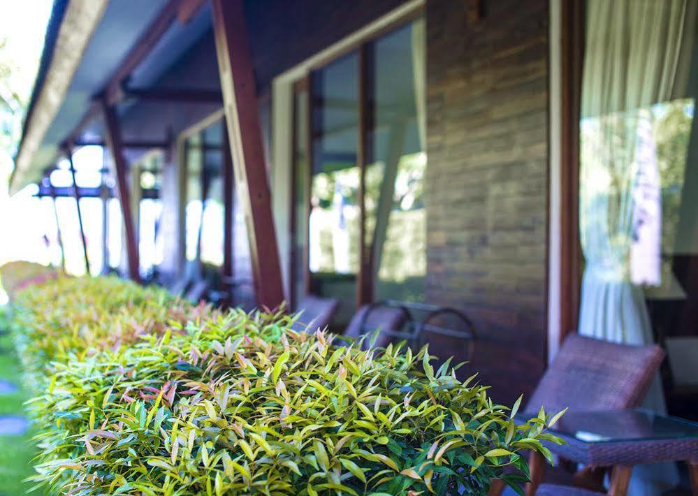 Big Brother Surf Inn Canggu Eksteriør billede