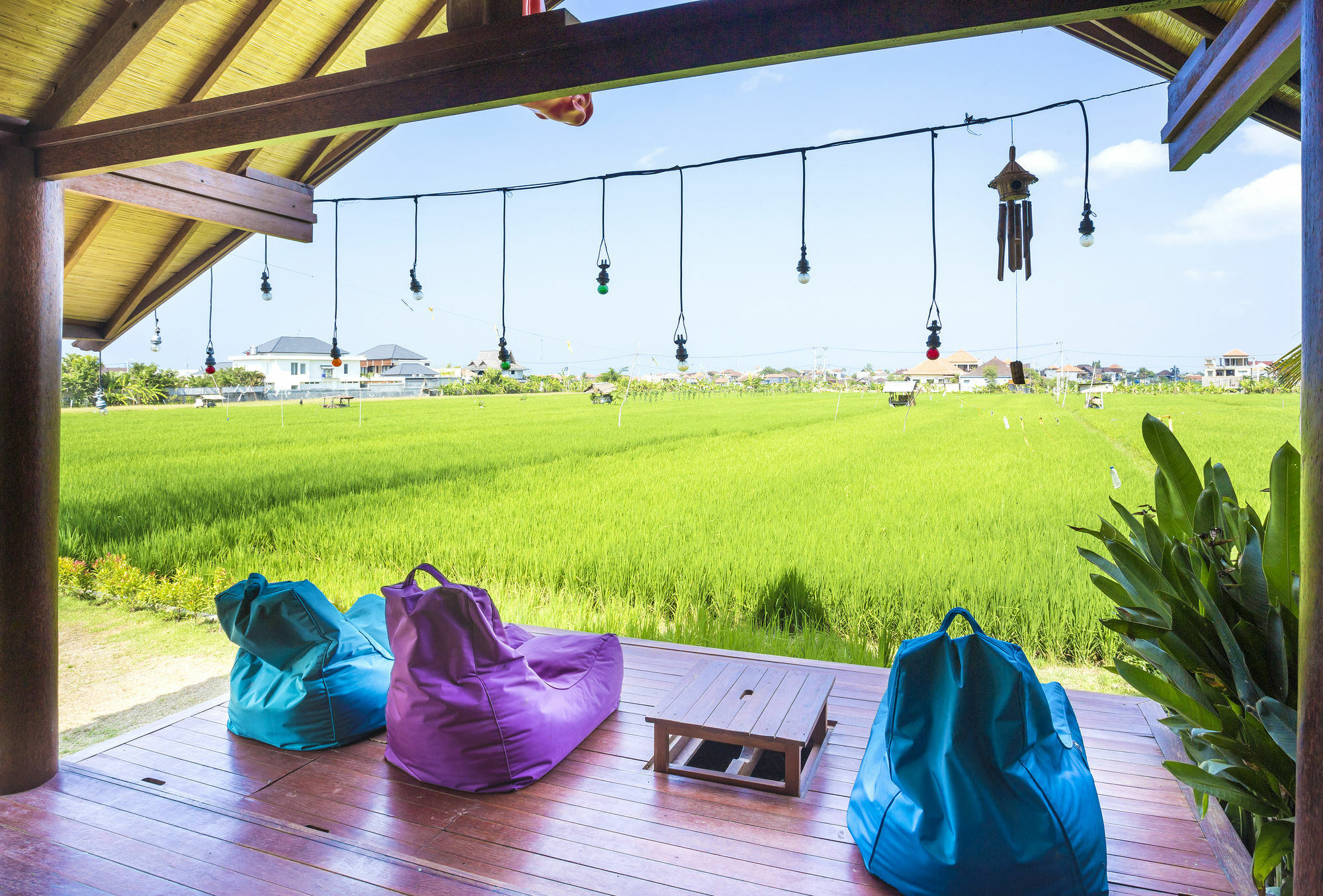 Big Brother Surf Inn Canggu Eksteriør billede