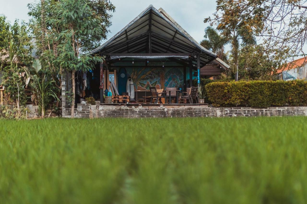 Big Brother Surf Inn Canggu Eksteriør billede