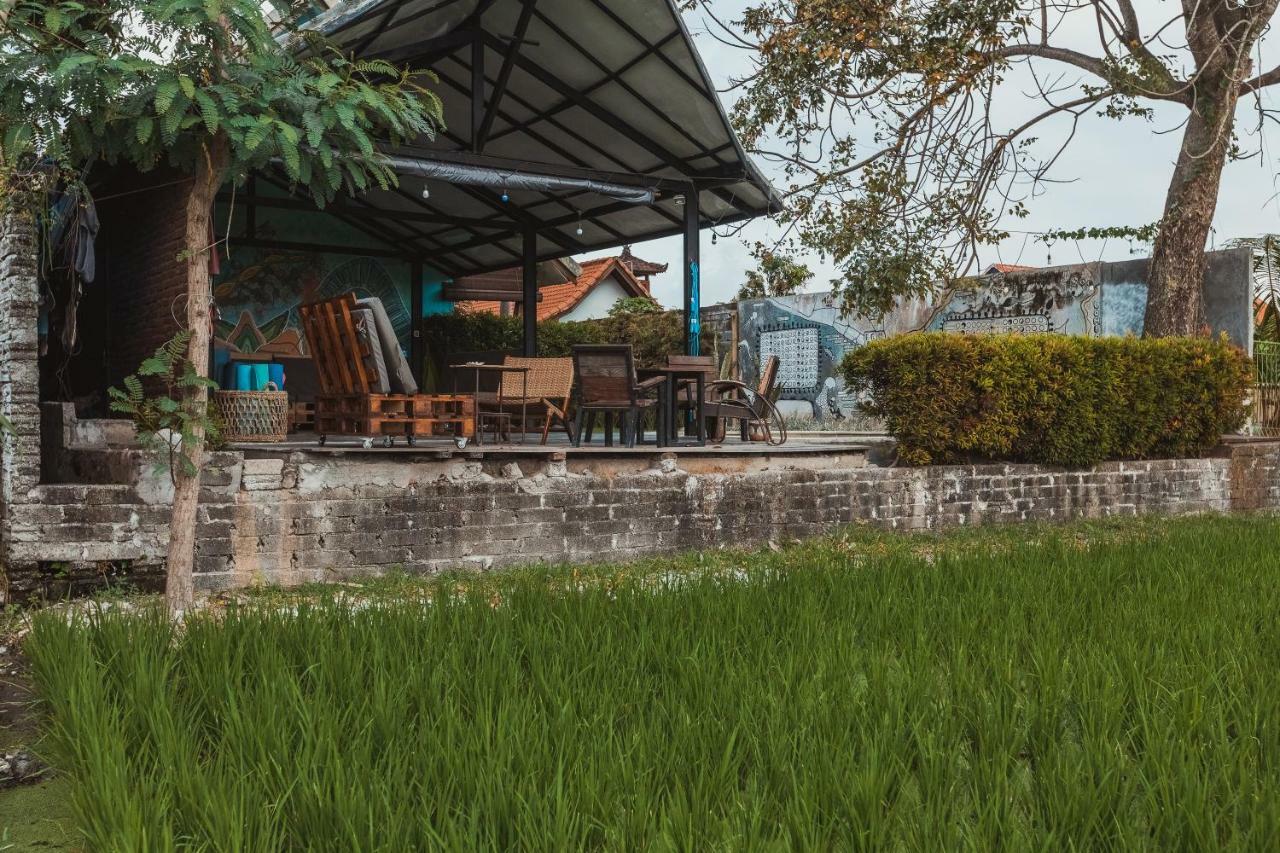 Big Brother Surf Inn Canggu Eksteriør billede